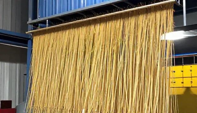 高产玉米种苗选型关注点及使用维护建议