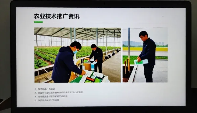 有机蔬菜加工产品农业技术怎么做得更稳:农业一线经验